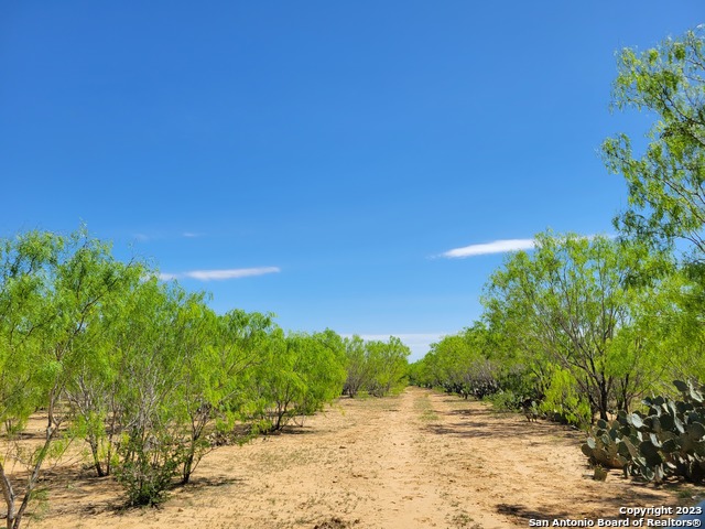 Image 14 of 29 For Tbd Lot 3 Cr 7421