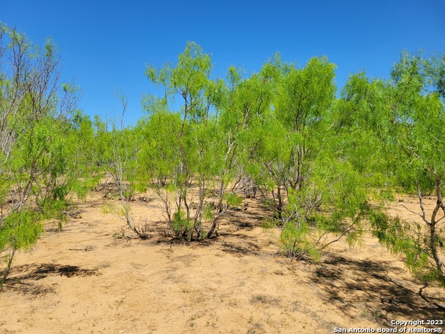 Image 15 of 29 For Tbd Lot 3 Cr 7421