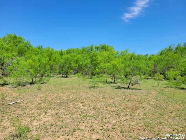 Image 18 of 29 For Tbd Lot 3 Cr 7421