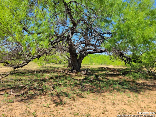 Image 24 of 29 For Tbd Lot 3 Cr 7421