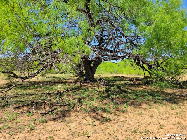Image 25 of 29 For Tbd Lot 3 Cr 7421