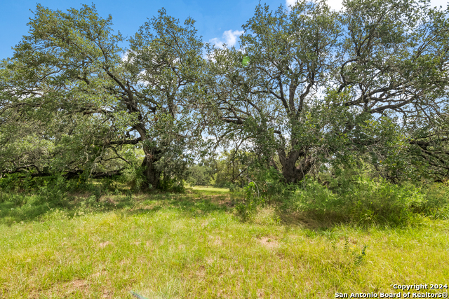 Image 41 of 50 For 6840 Loop 1604