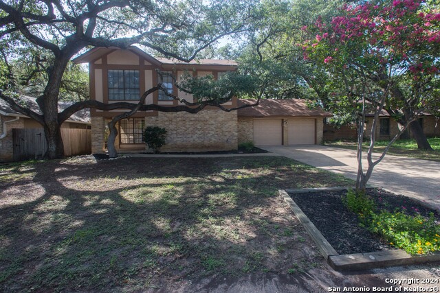 Details for 14022 Old Tree St, San Antonio, TX 78247