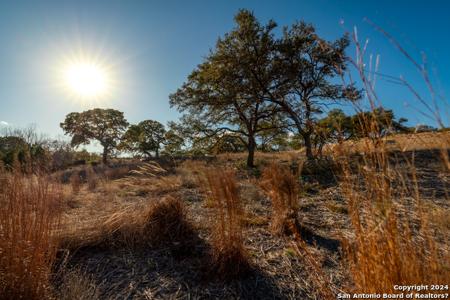 Image 19 of 36 For Lot 38 Tres Arroyos