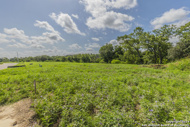 Image 3 of 12 For 769 Comal Creek Trail