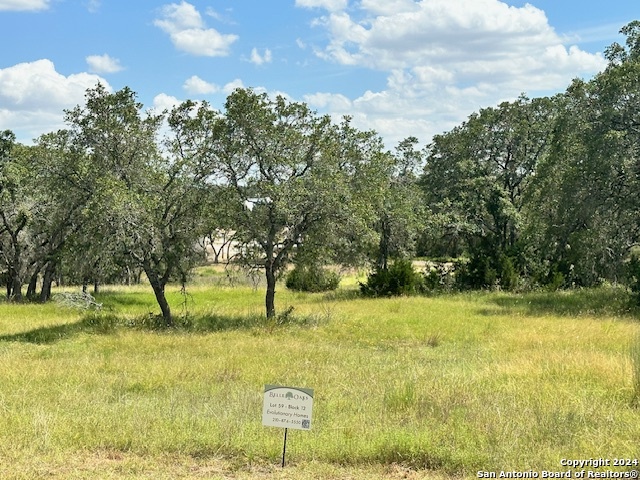 Details for 685 Annabelle Ave, Bulverde, TX 78163