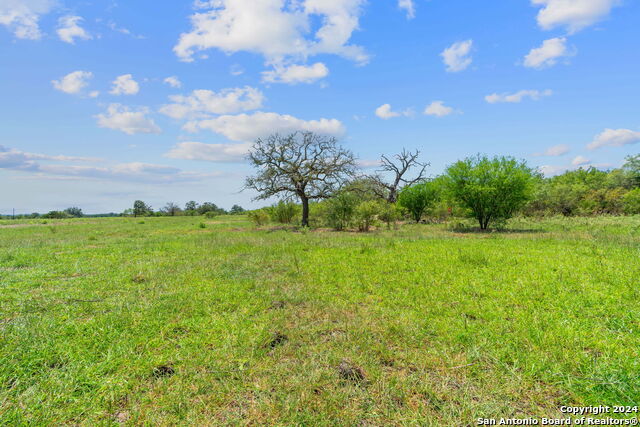 Listing photo id 10 for Lot 24 County Road 406