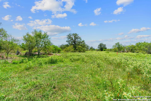 Listing photo id 0 for Lot 24 County Road 406