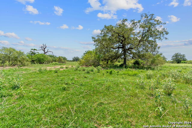 Listing photo id 2 for Lot 24 County Road 406