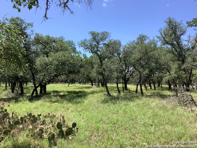 Details for 477 Burrus Ranch Rd., Mountain Home, TX 78058