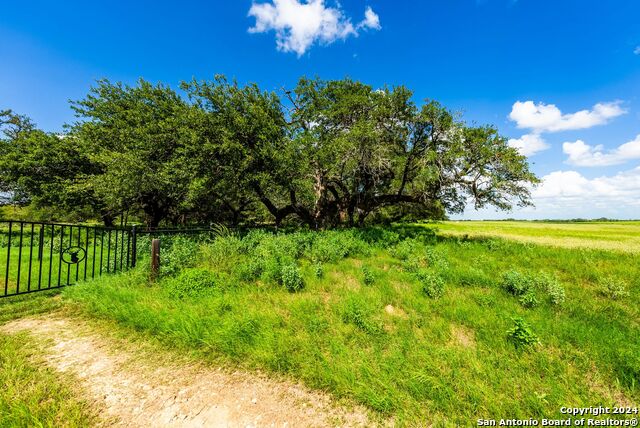 Image 19 of 45 For 5784 County Road 136