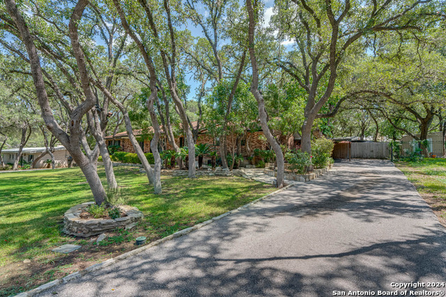 Listing photo id 45 for 250 Donella Drive