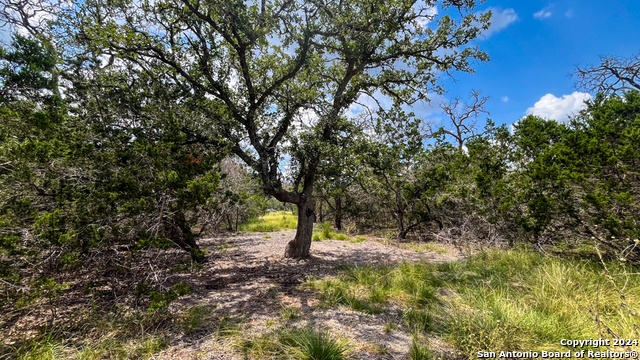 Image 11 of 18 For Lot 104 Creekside At Camp Verde