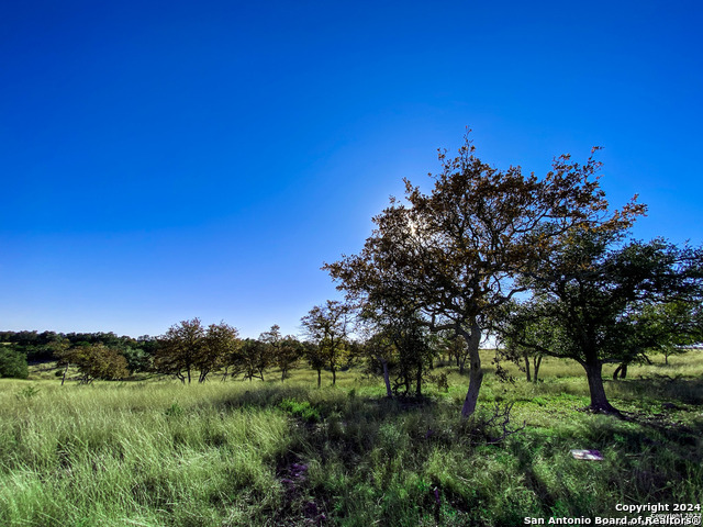 Image 5 of 15 For Lot 136 Loma Vista Ranch