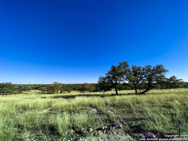 Image 8 of 15 For Lot 136 Loma Vista Ranch