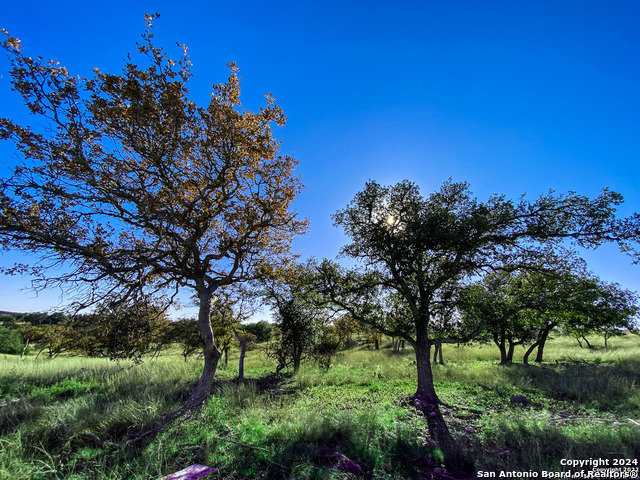 Image 9 of 15 For Lot 136 Loma Vista Ranch