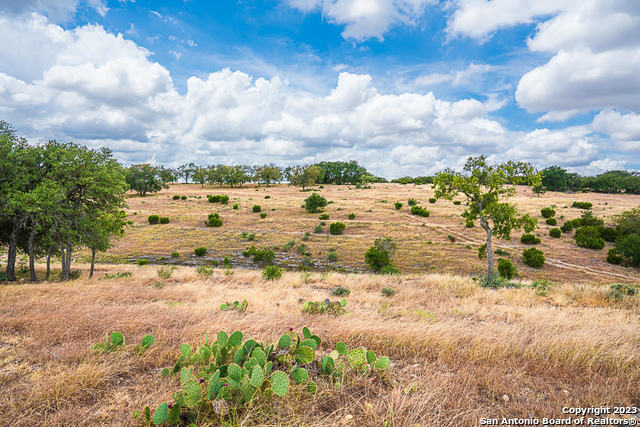 Image 2 of 12 For Lot 145 Cattleman's Crossing Dr