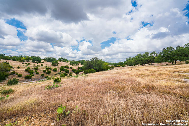 Image 3 of 12 For Lot 145 Cattleman's Crossing Dr