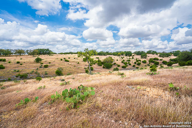 Image 4 of 12 For Lot 145 Cattleman's Crossing Dr