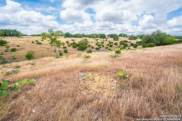 Image 5 of 12 For Lot 145 Cattleman's Crossing Dr