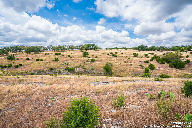 Image 6 of 12 For Lot 145 Cattleman's Crossing Dr