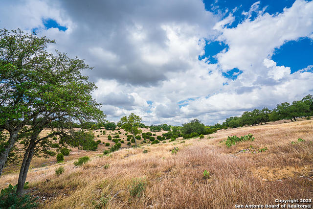 Image 7 of 12 For Lot 145 Cattleman's Crossing Dr