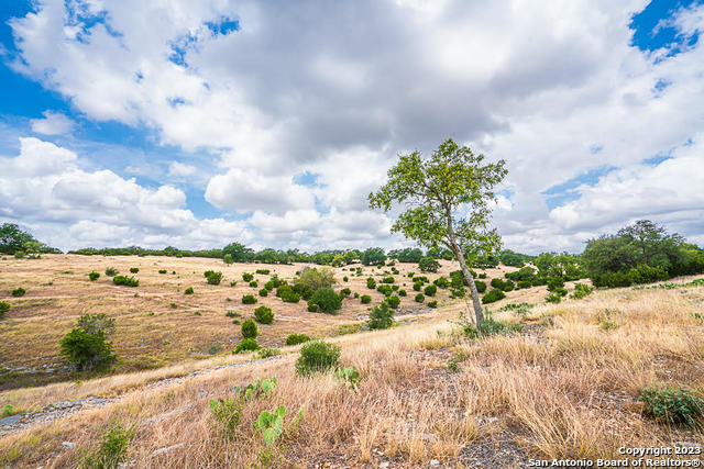 Image 8 of 12 For Lot 145 Cattleman's Crossing Dr