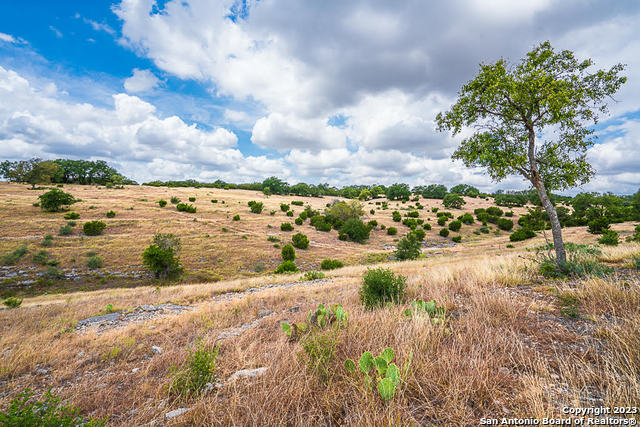 Image 9 of 12 For Lot 145 Cattleman's Crossing Dr