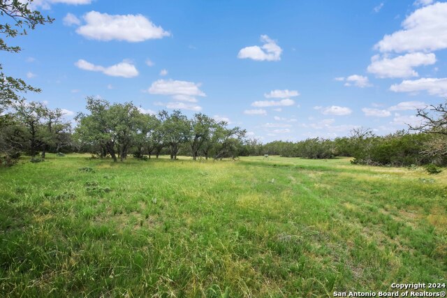 Details for 230 Old Roeder, Harper, TX 78631