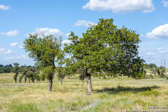 Image 12 of 40 For Lot 11 Badger Ridge Rd