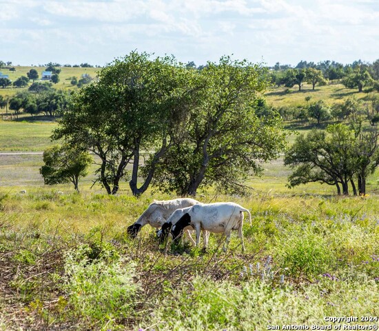 Image 22 of 40 For Lot 11 Badger Ridge Rd