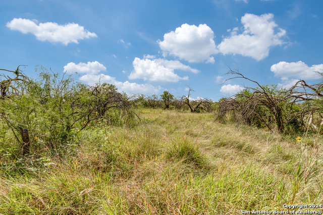 Image 8 of 14 For Tbd Koehler Rd