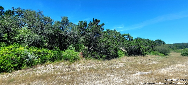 Details for Lot 5 County Road 2481, Hondo, TX 78861