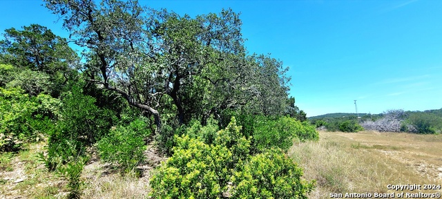 Image 8 of 11 For Lot 5 County Road 2481