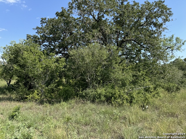 Details for 1527 County Road 266, Gillett, TX 78116