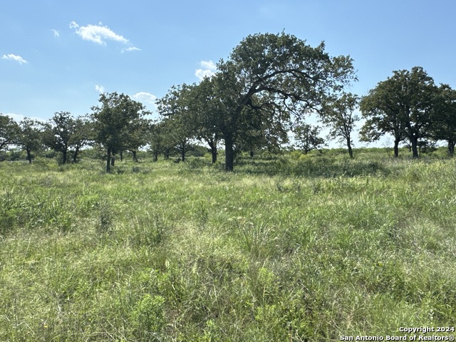 Image 8 of 8 For 1527b County Road 266