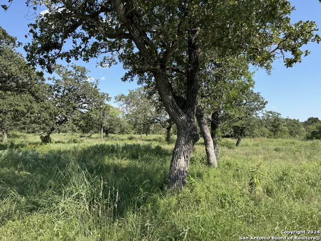 Details for 1527c County Road 266, Gillett, TX 78116