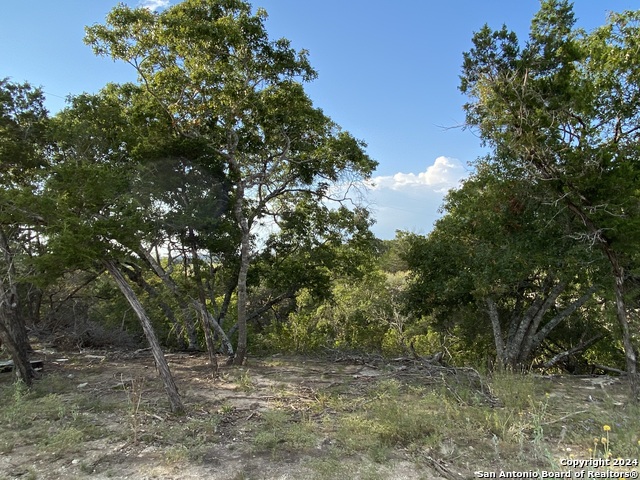 Image 8 of 28 For 308 Elm Pass Rd