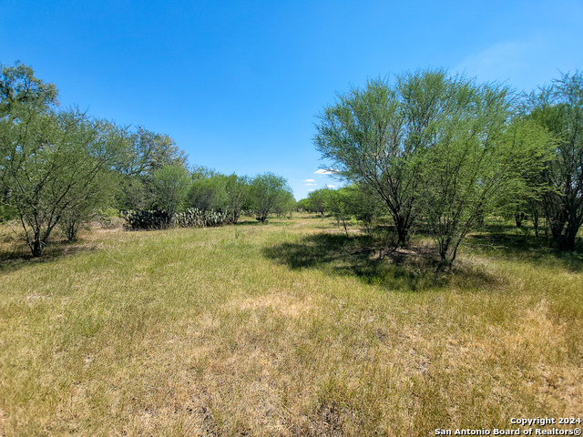 Listing photo id 32 for 0 County Road 226