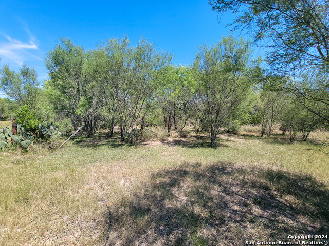 Listing photo id 35 for 0 County Road 226