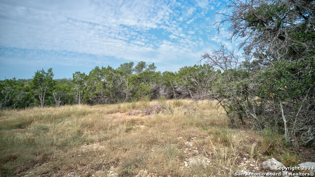 Image 8 of 24 For 100 Sweet Clover Dr