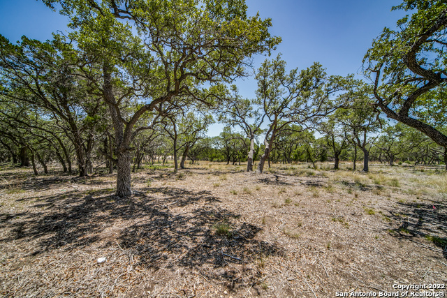 Image 7 of 8 For 725 Live Oak Ridge