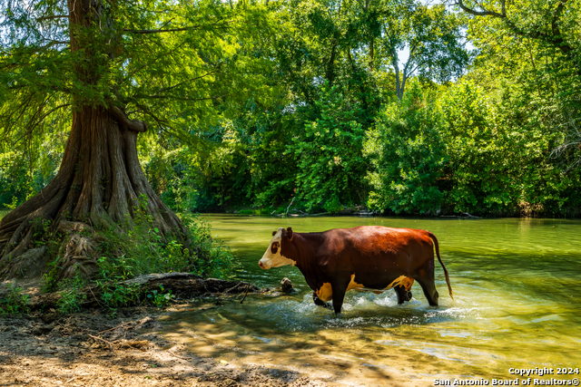 Details for Tbd Sh 80 N  , Gonzales, TX 78629