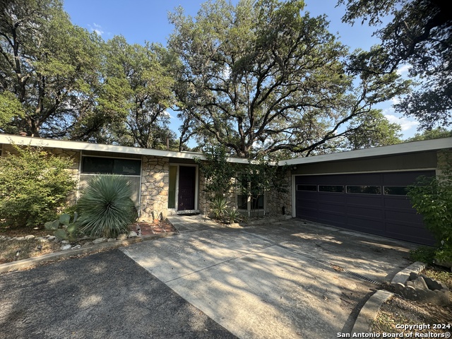 Details for 10910 Cedar Elm, San Antonio, TX 78230