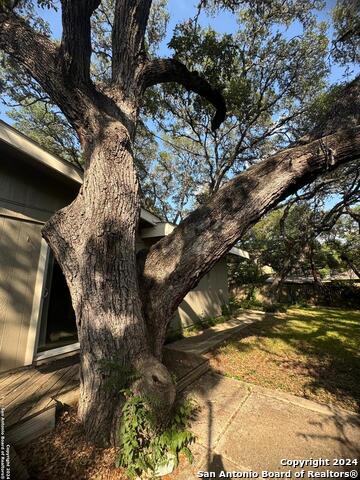 Image 31 of 38 For 10910 Cedar Elm