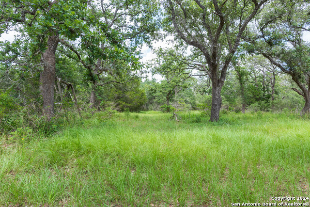 Image 9 of 24 For 0(tbd) County Road 14