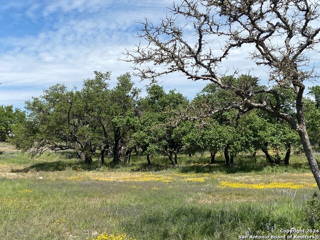 Details for Tbd Taurus Ln Taurus, Junction, TX 76849