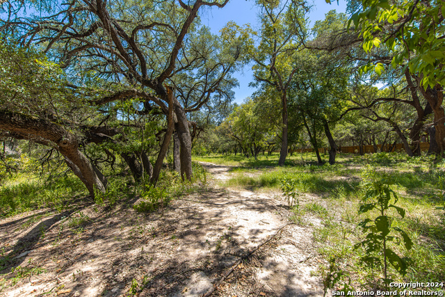 Image 26 of 28 For 320 Upper Cibolo Creek