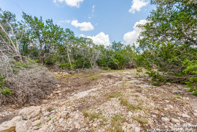 Image 14 of 36 For Tbd Off Of Highway 41