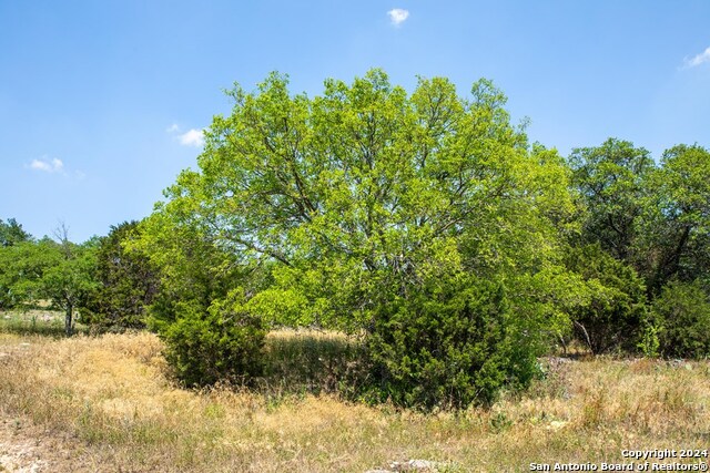 Listing photo id 15 for 445 Dark Sky Path